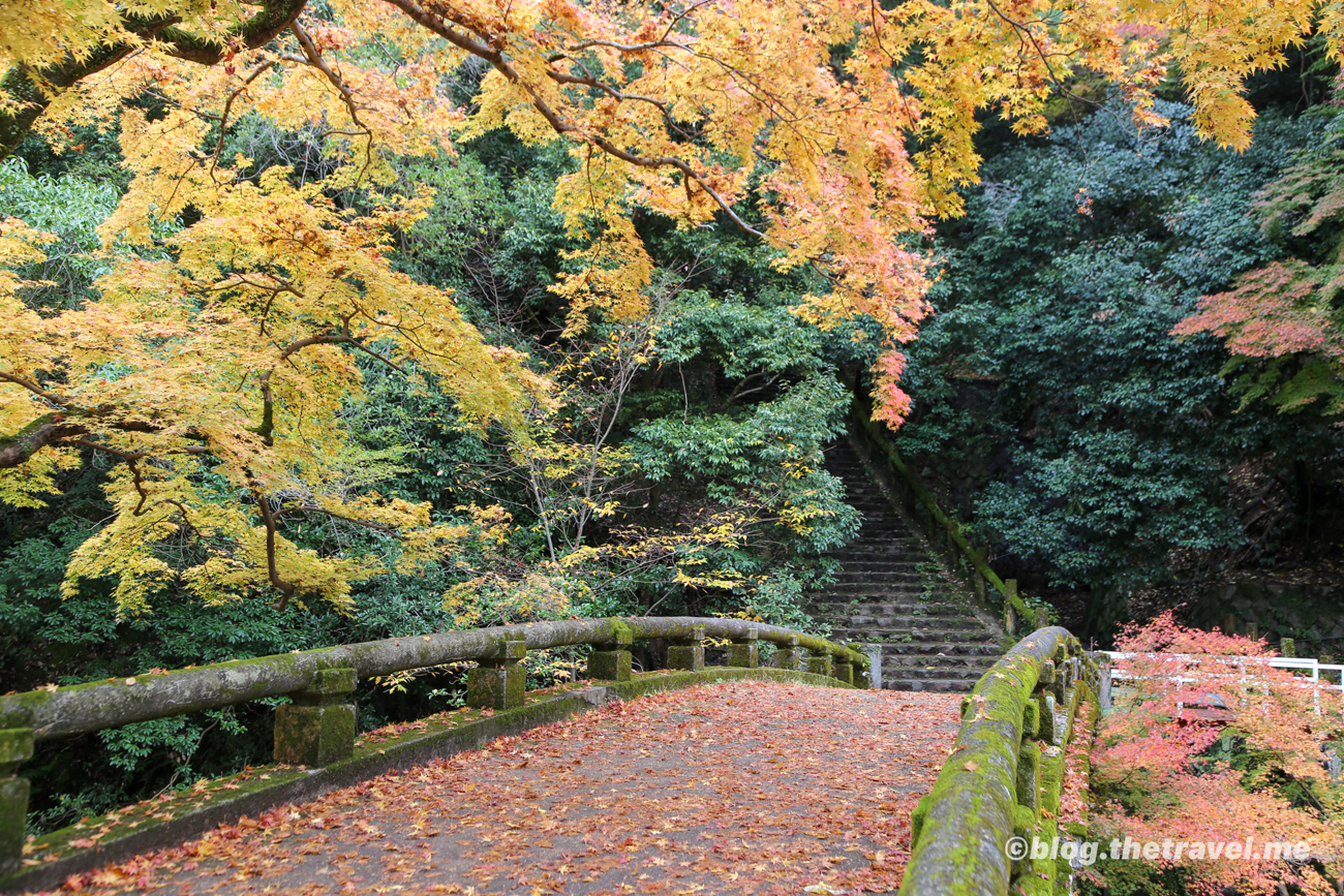 Day 5-3：明治之森箕面國定公園、瀧安寺