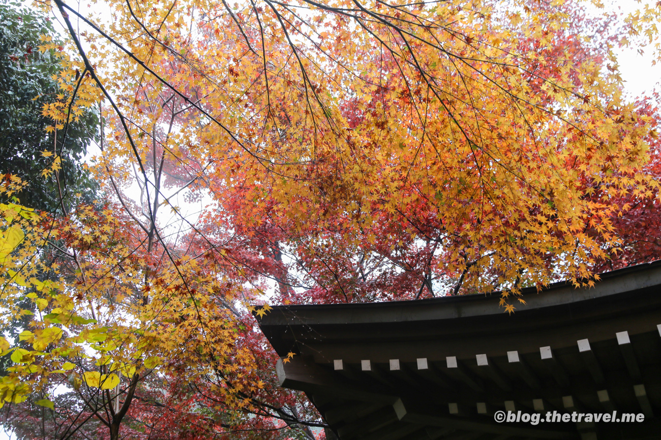 Day 6-3：八幡山、瑞龍寺