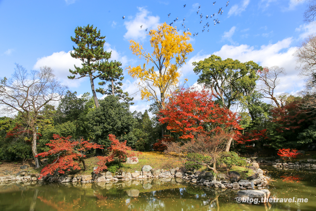 Day 7-5：京都御苑、嚴島神社、宗像神社