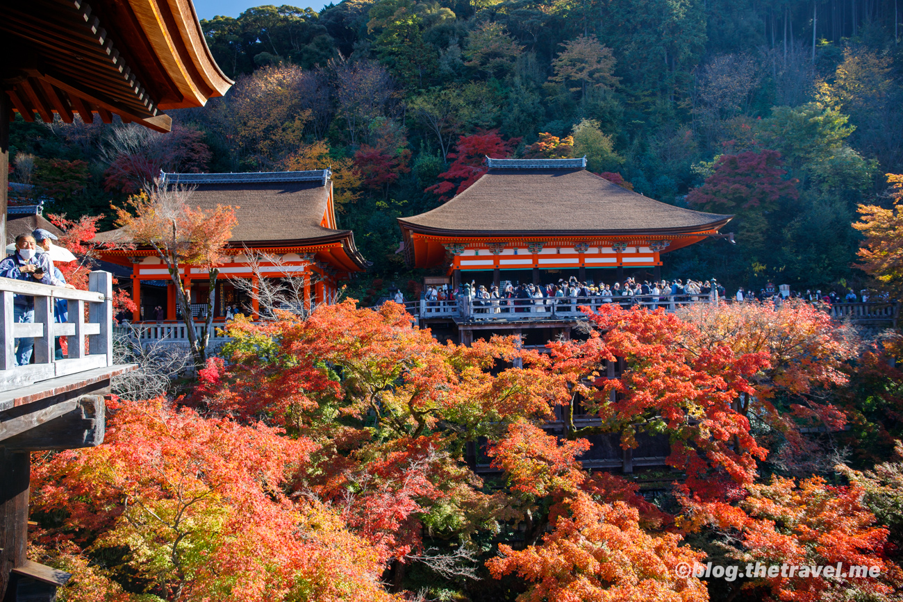 Day 8-3：清水寺