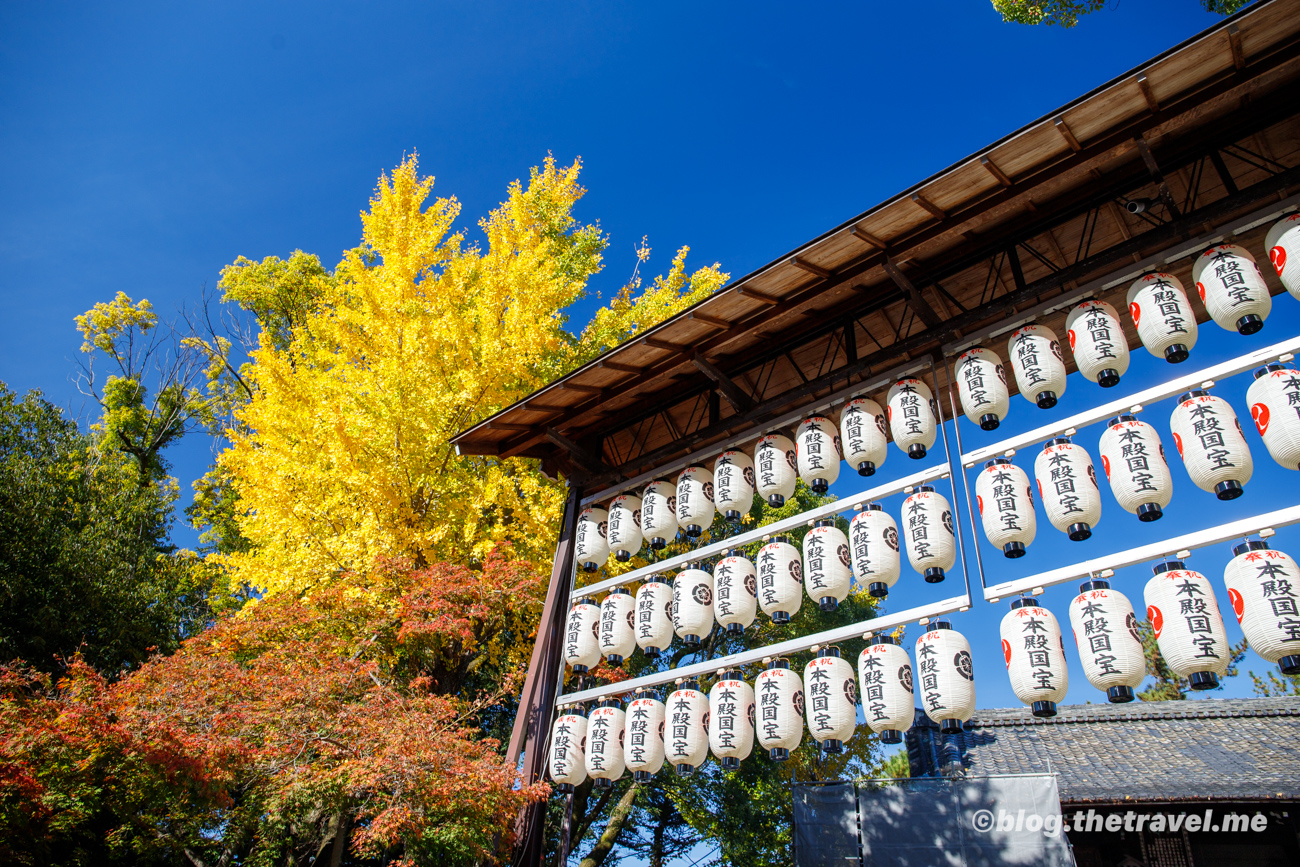 Day 8-6：寧寧之道、圓山公園、八阪神社