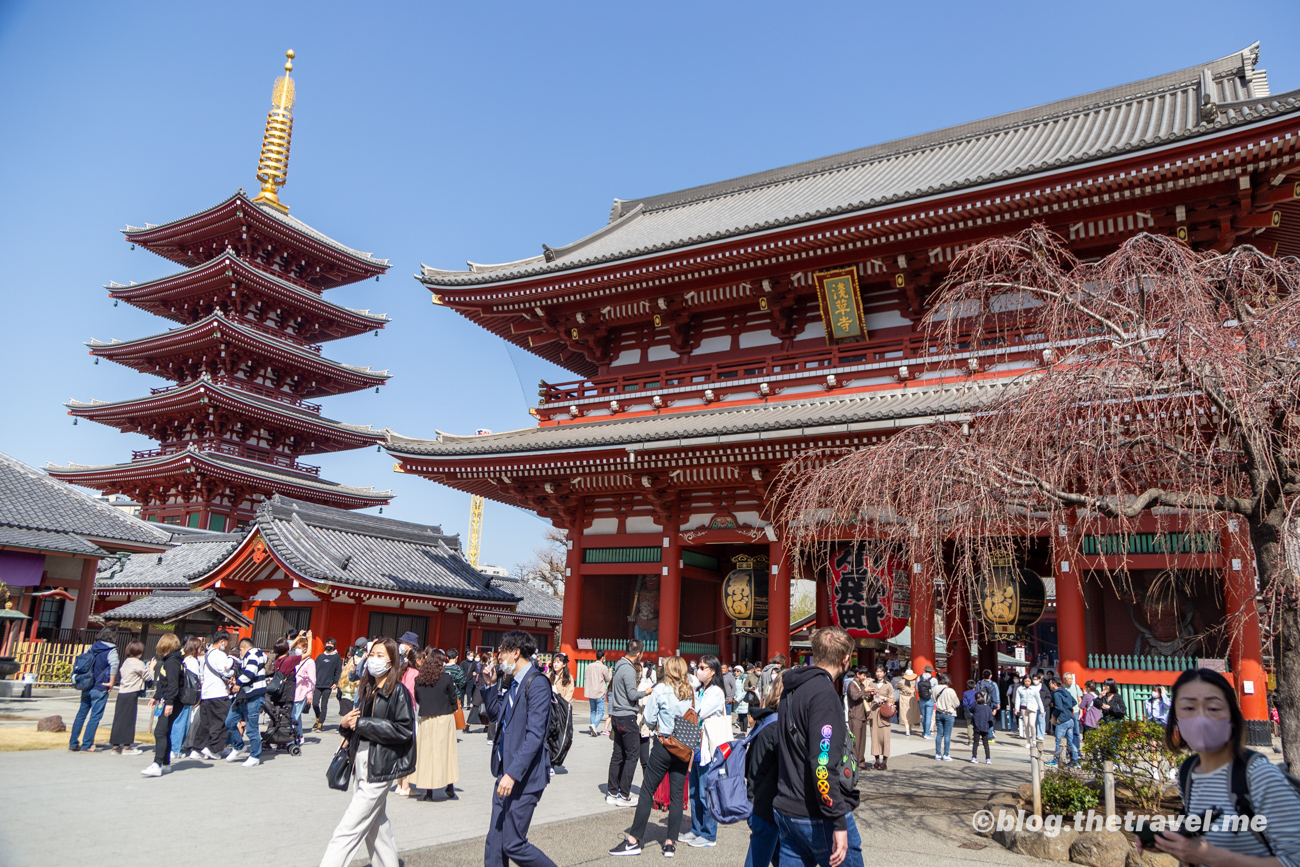 Day 2-3：淺草寺、寶藏門、五重塔