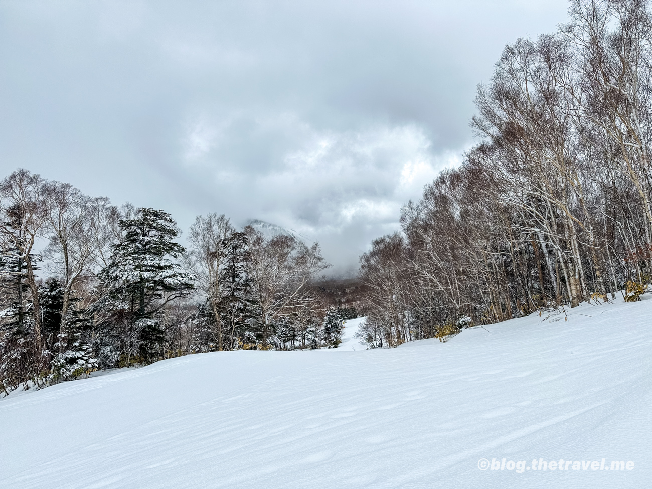 Day 4-2：高天原長毛象滑雪場、西館山滑雪場