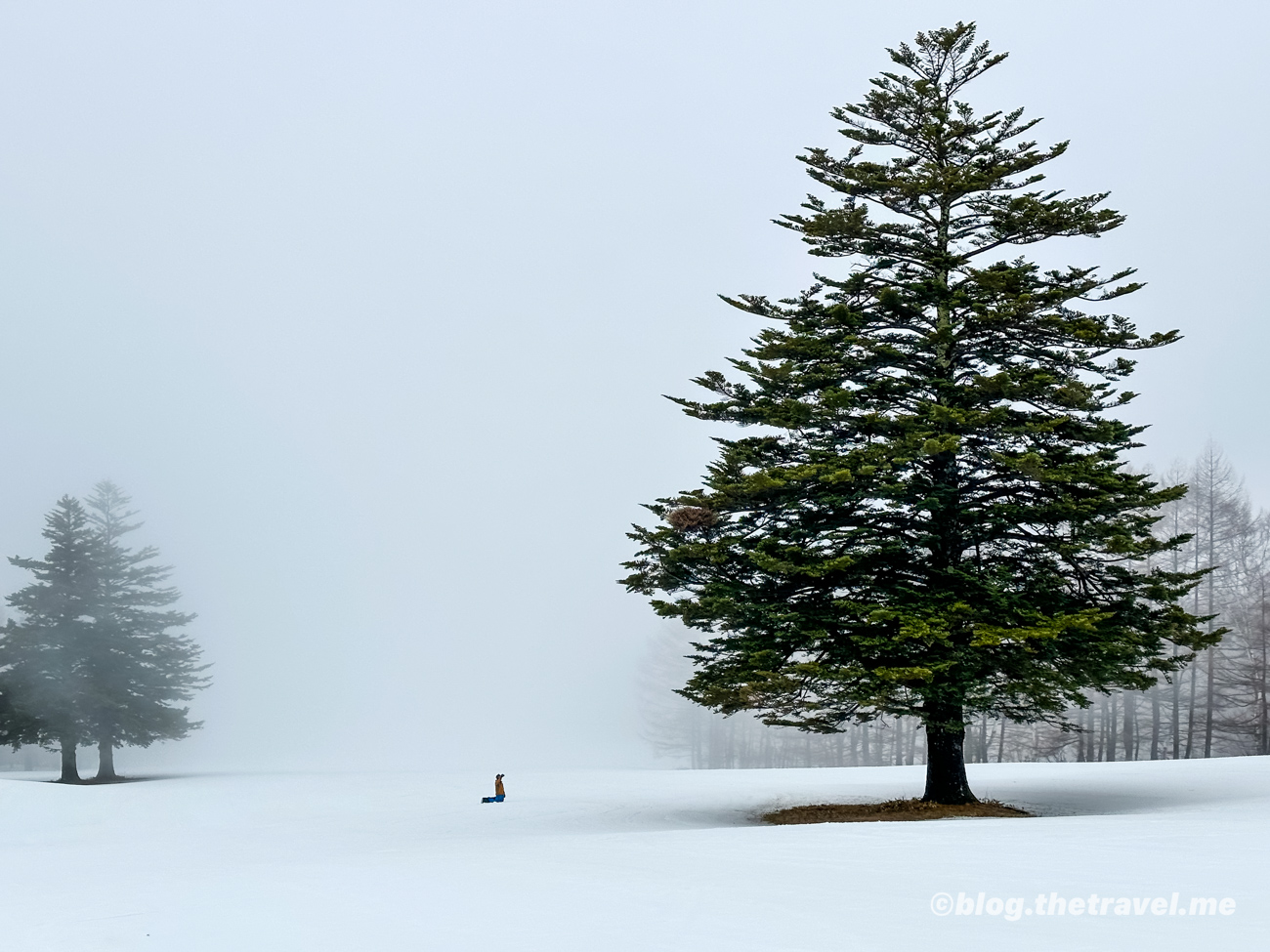 Day 4-3：發哺櫸木平滑雪場、Hotel Aspen Shiga