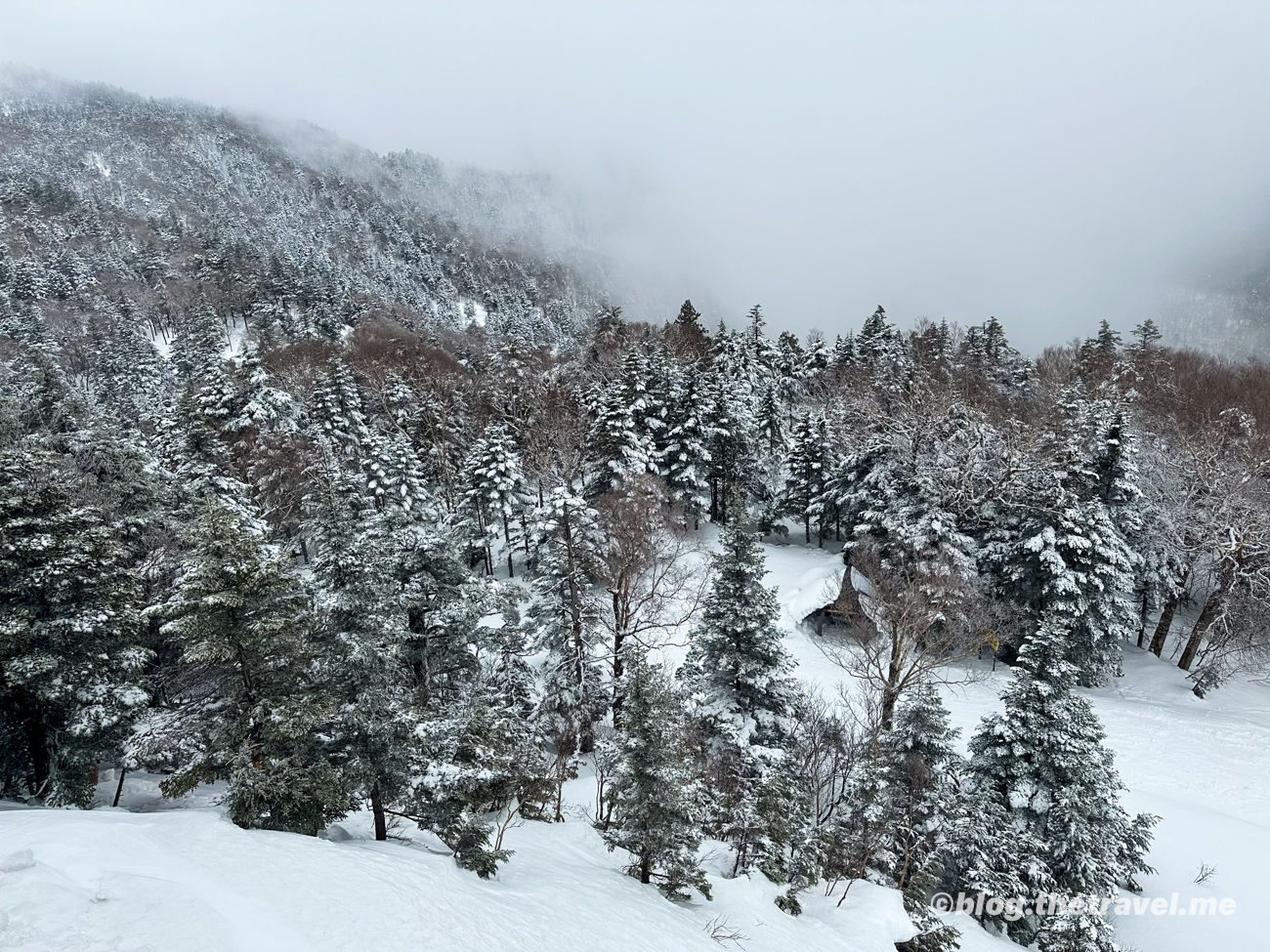 Day 4-4：東館山滑雪場