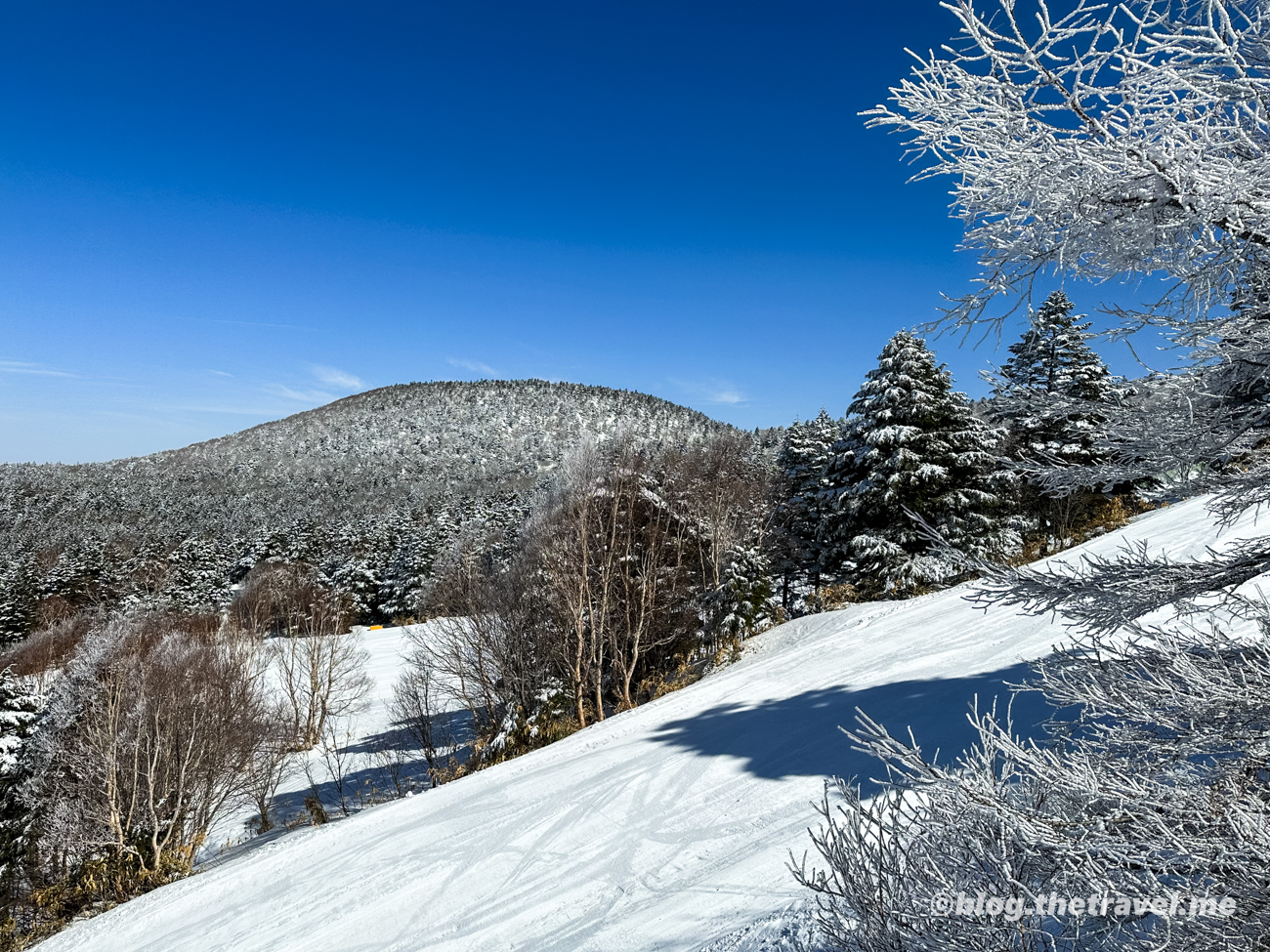 Day 5-2：橫手山滑雪場