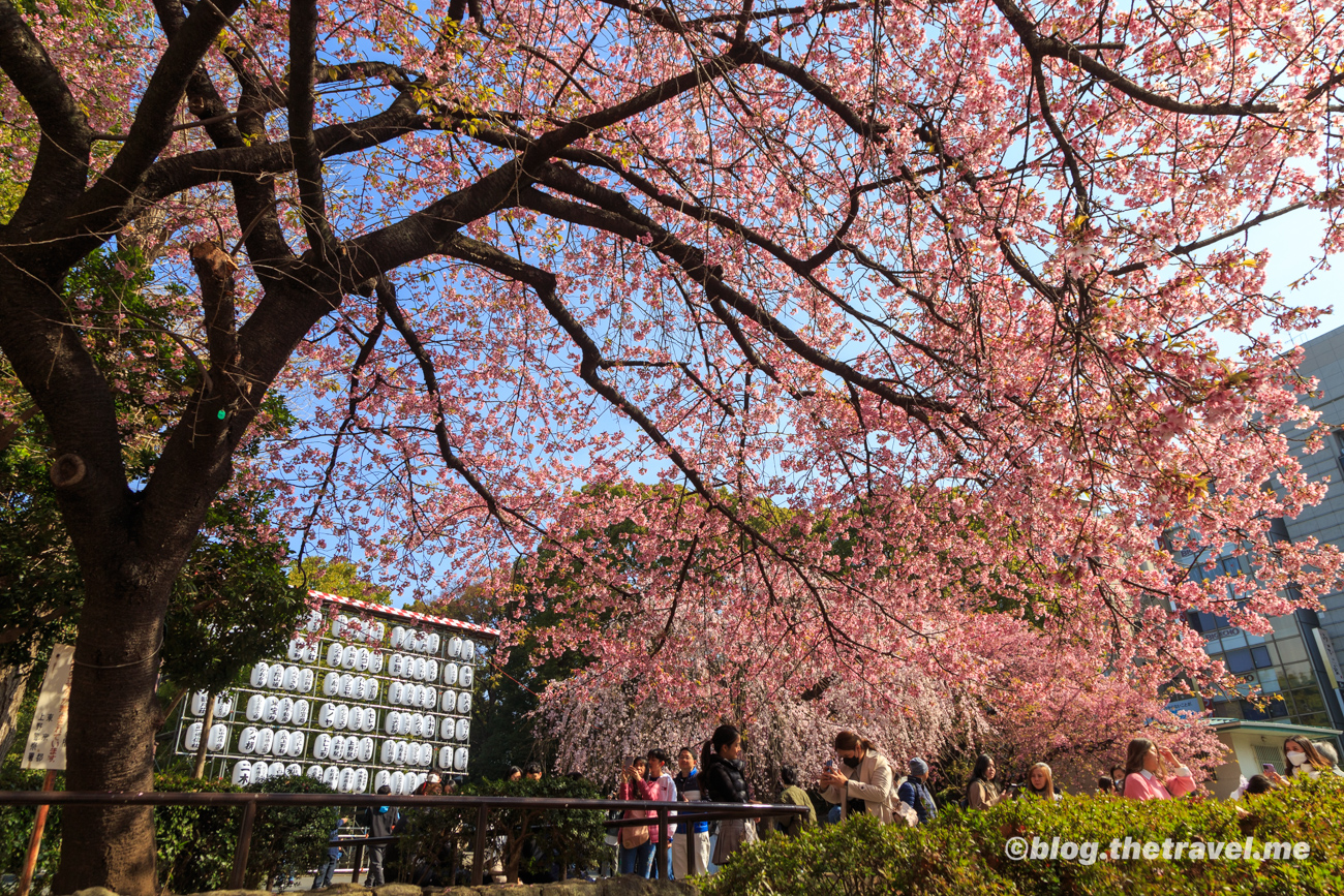 Day 7-1：上野公園