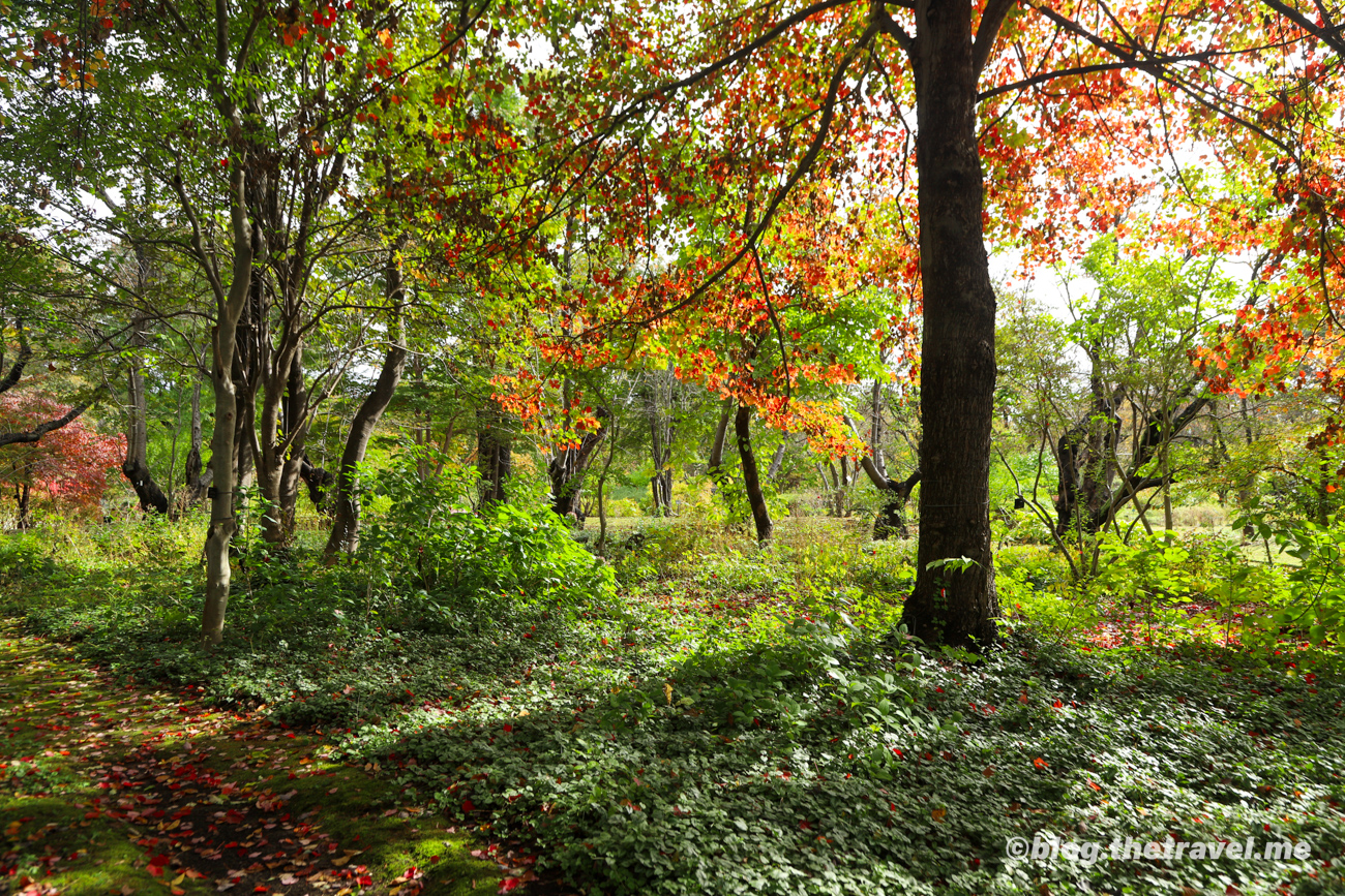 Day 3-1：弘前、弘前城植物園