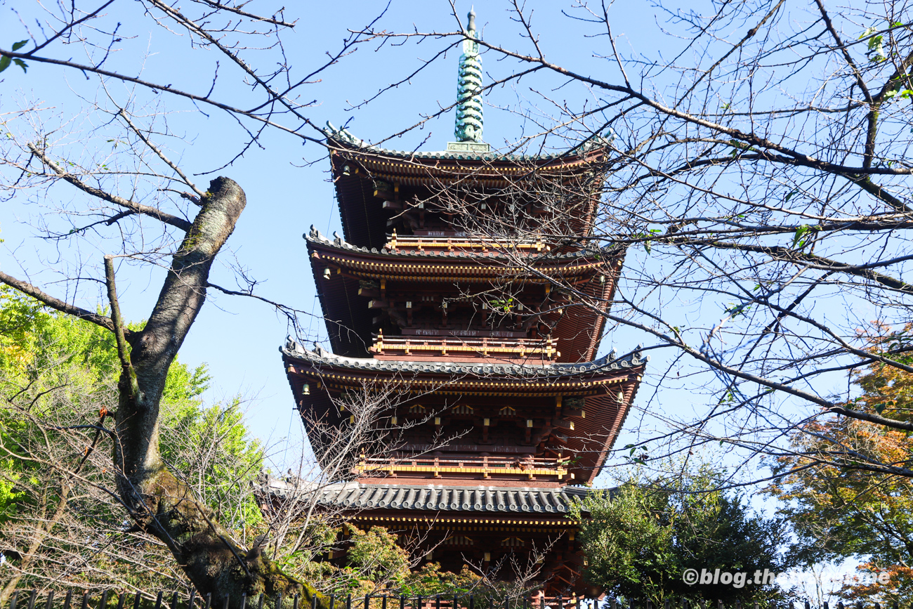 Day 8-1：上野公園