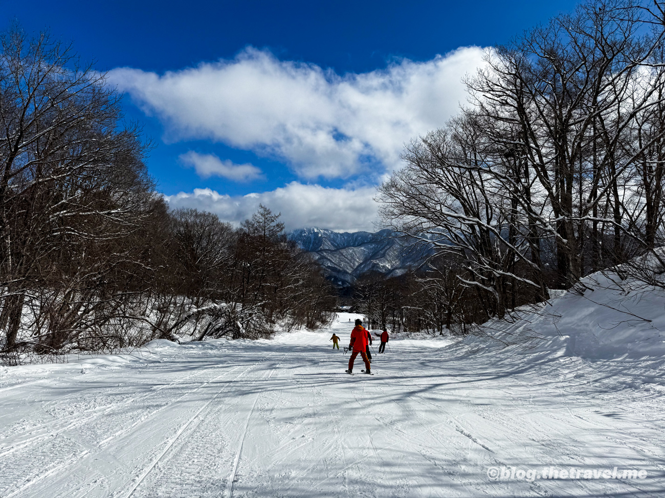 Day 4-3：栂池高原滑雪場、雪之廣場、森林環廻道