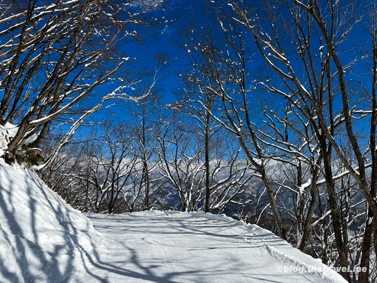 Day 4-6：栂池高原滑雪場、森林環廻道