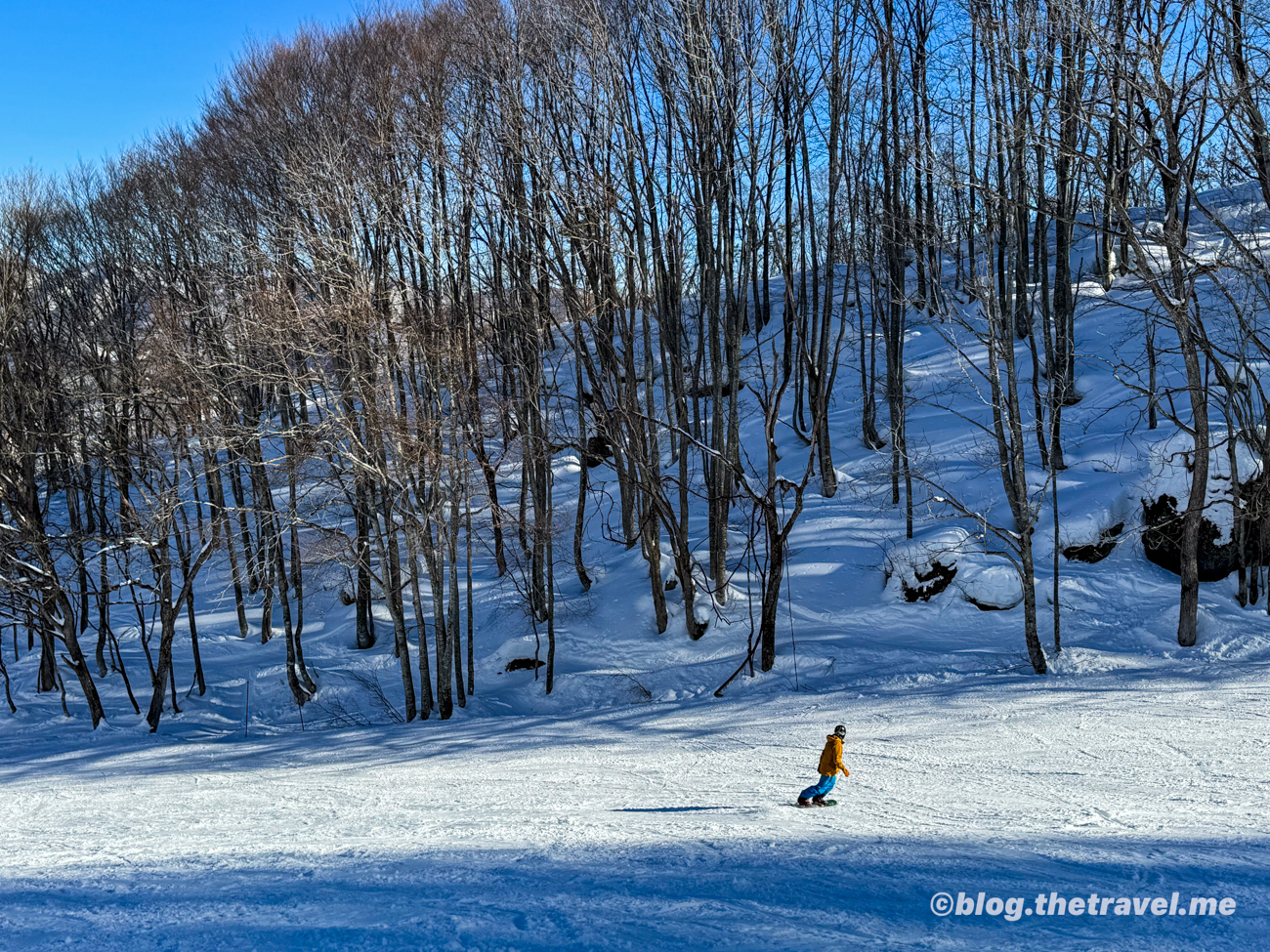 Day 5-6：白馬岩岳滑雪場、貢多拉山麓站