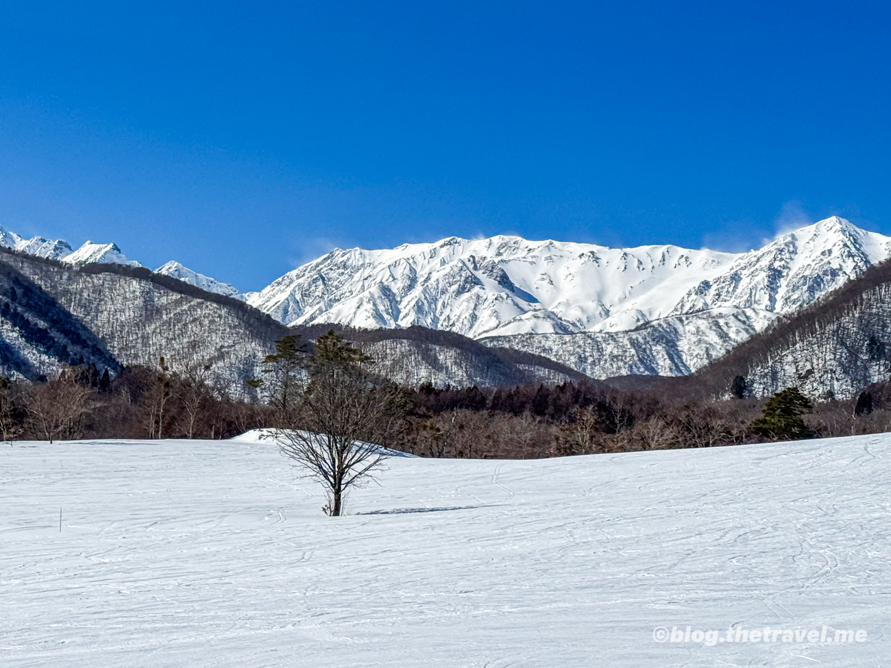 Day 6-3：栂池高原滑雪場、半木滑道，白樺坡地、雪之廣場