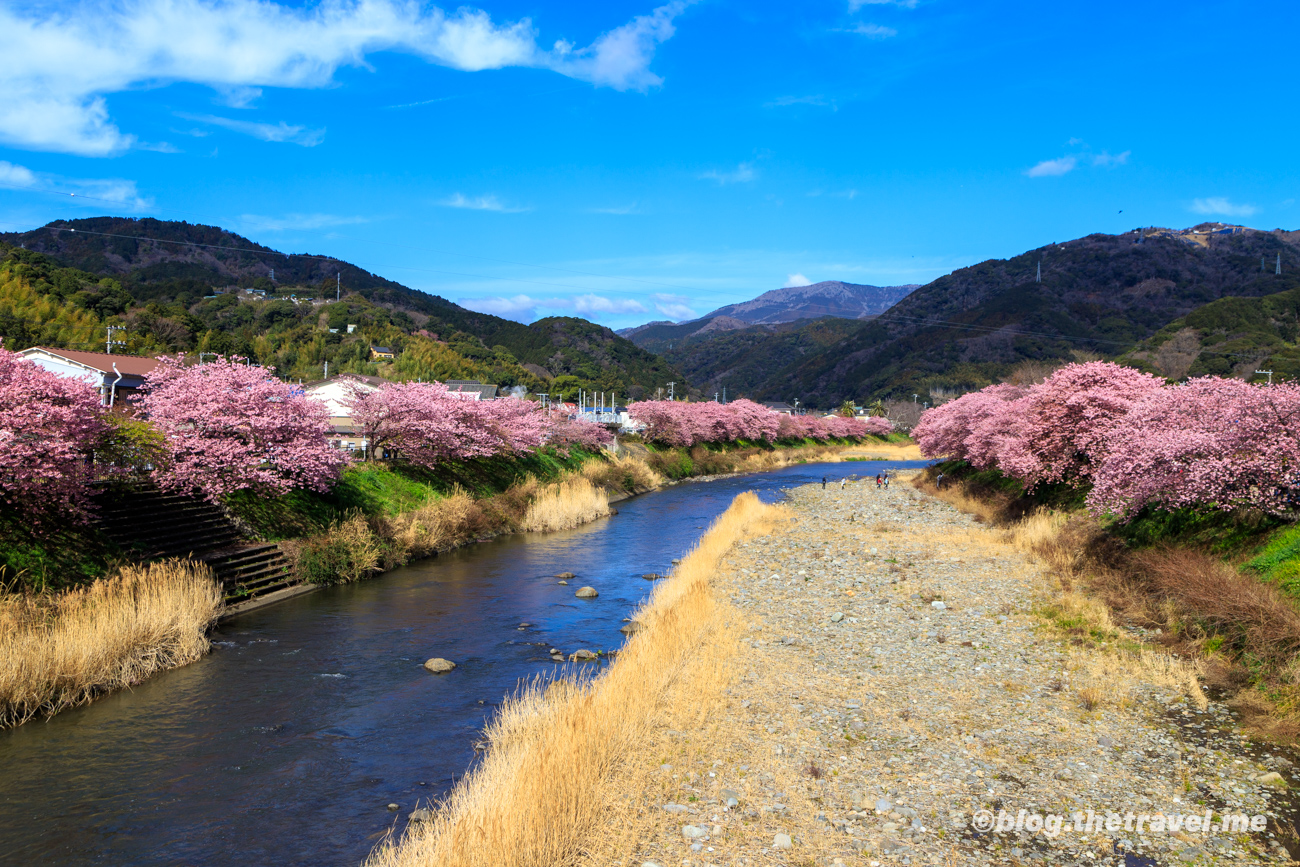 Day 8-4：來宮橋、豊泉橋、豊泉之櫻