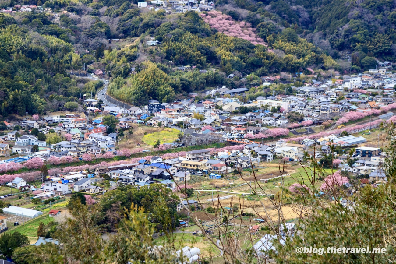 Day 8-6：河津城跡