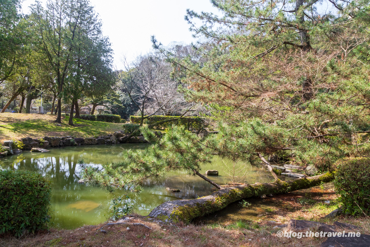 Day 2-2：姬路城、姬路神社、姬山公園