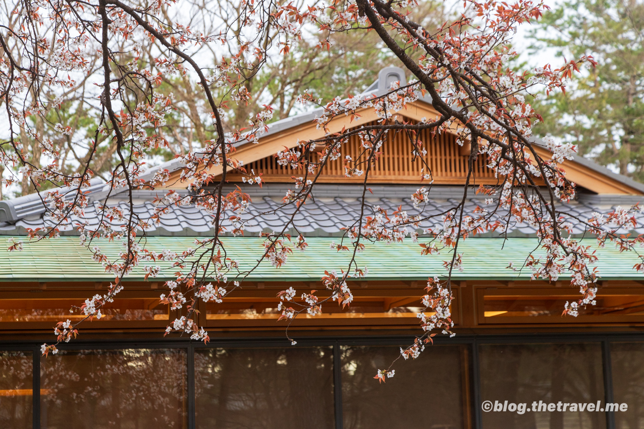 Day 2-8：京都御苑、近衞邸跡、母與子之森