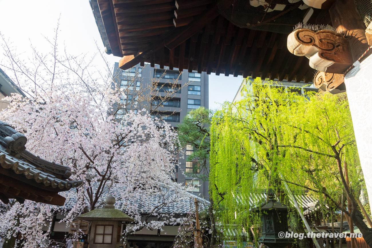 Day 3-1：京都、頂法寺