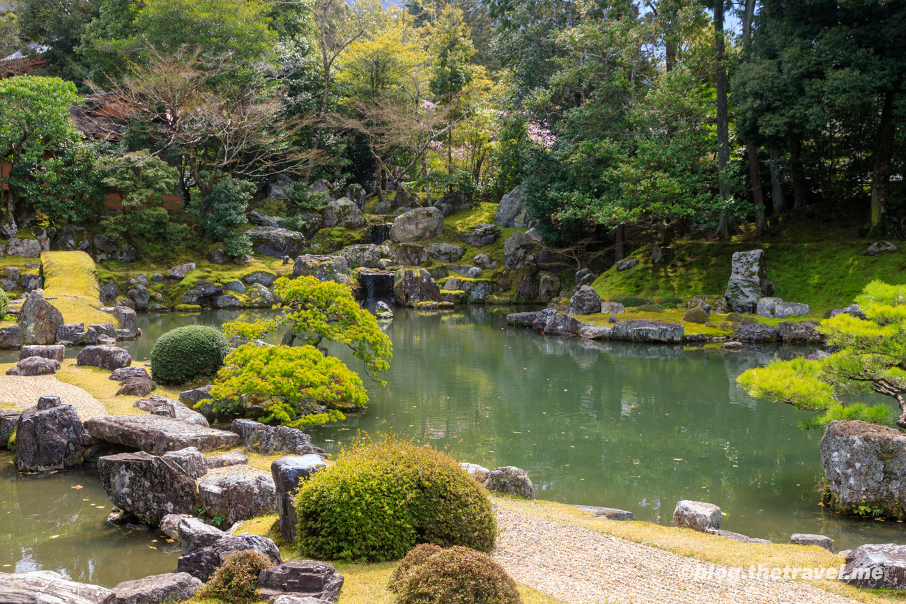 Day 3-5：醍醐寺、三寶院、三寶院庭園