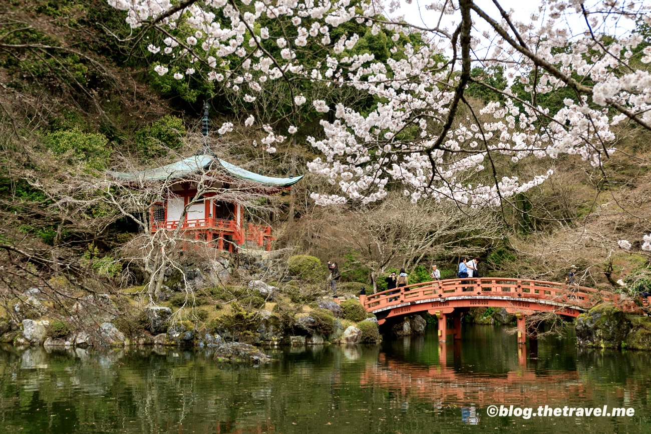 Day 3-9：醍醐寺、觀音堂、弁天池、無量壽苑