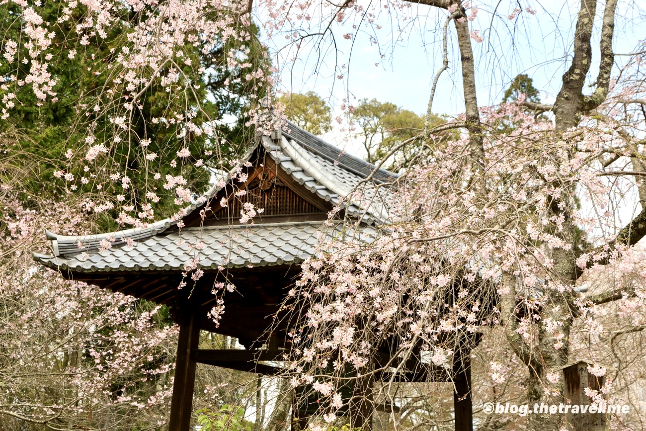 Day 3-8：醍醐寺、金堂、不動堂、真如三昧耶堂