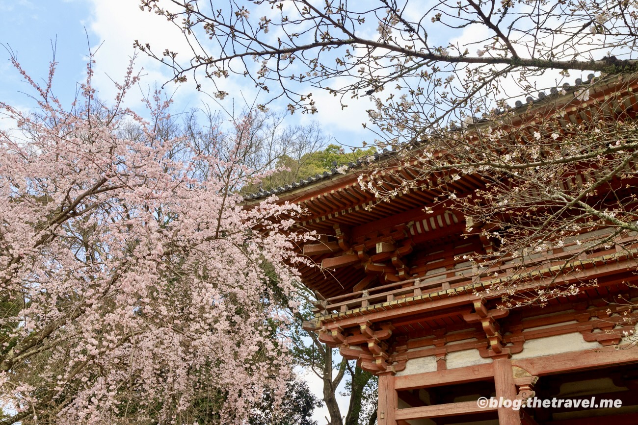 Day 3-7：醍醐寺、西大門、清瀧宮、五重塔