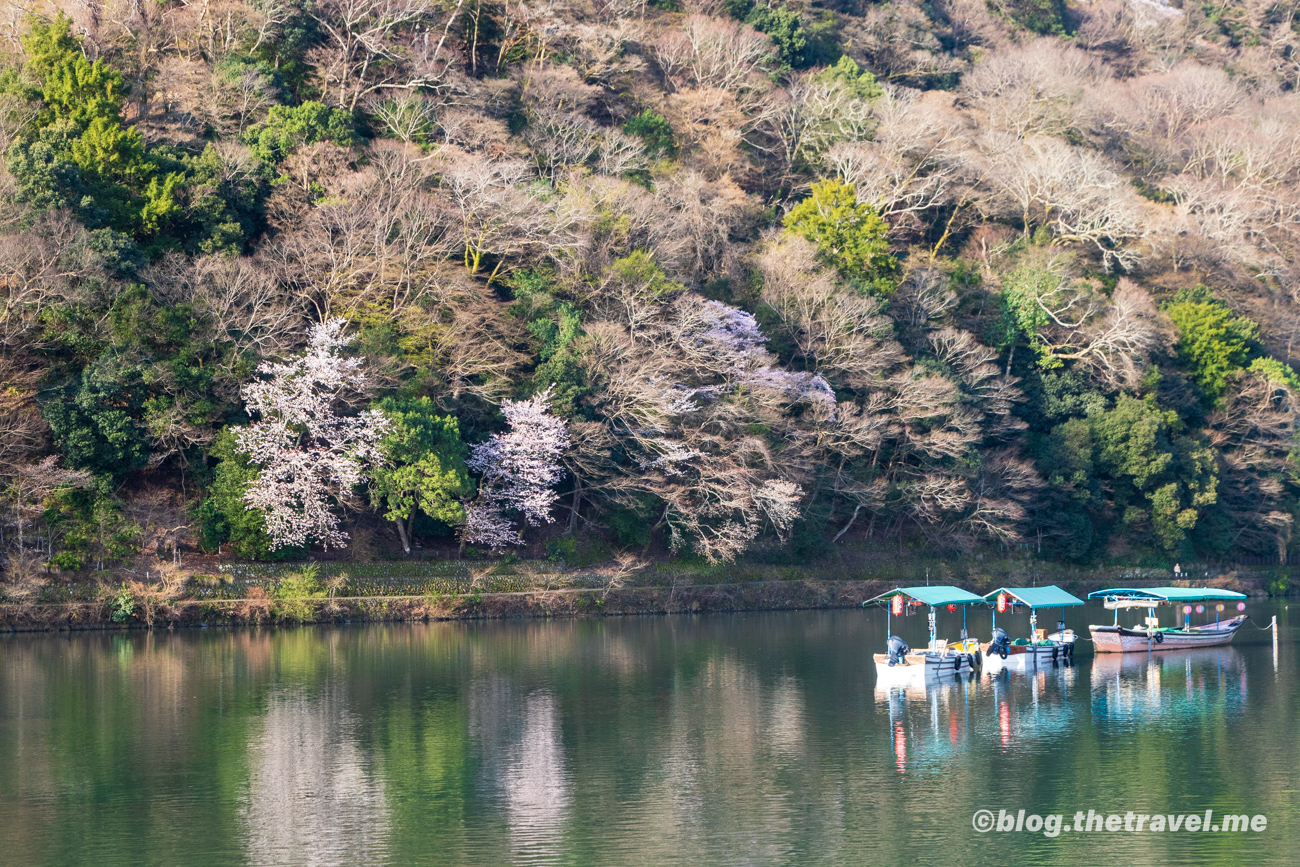 Day 4-1：嵐山、渡月橋、桂川