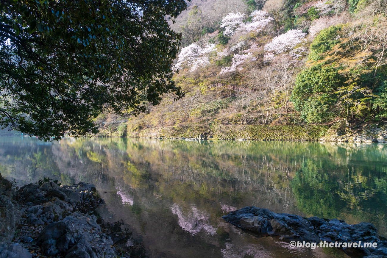 Day 4-2：嵐山、桂川、花伝抄