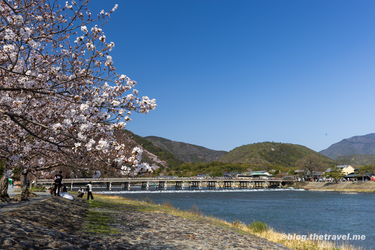 Day 4-3：嵐山、中之島、嵯峨嵐山駅