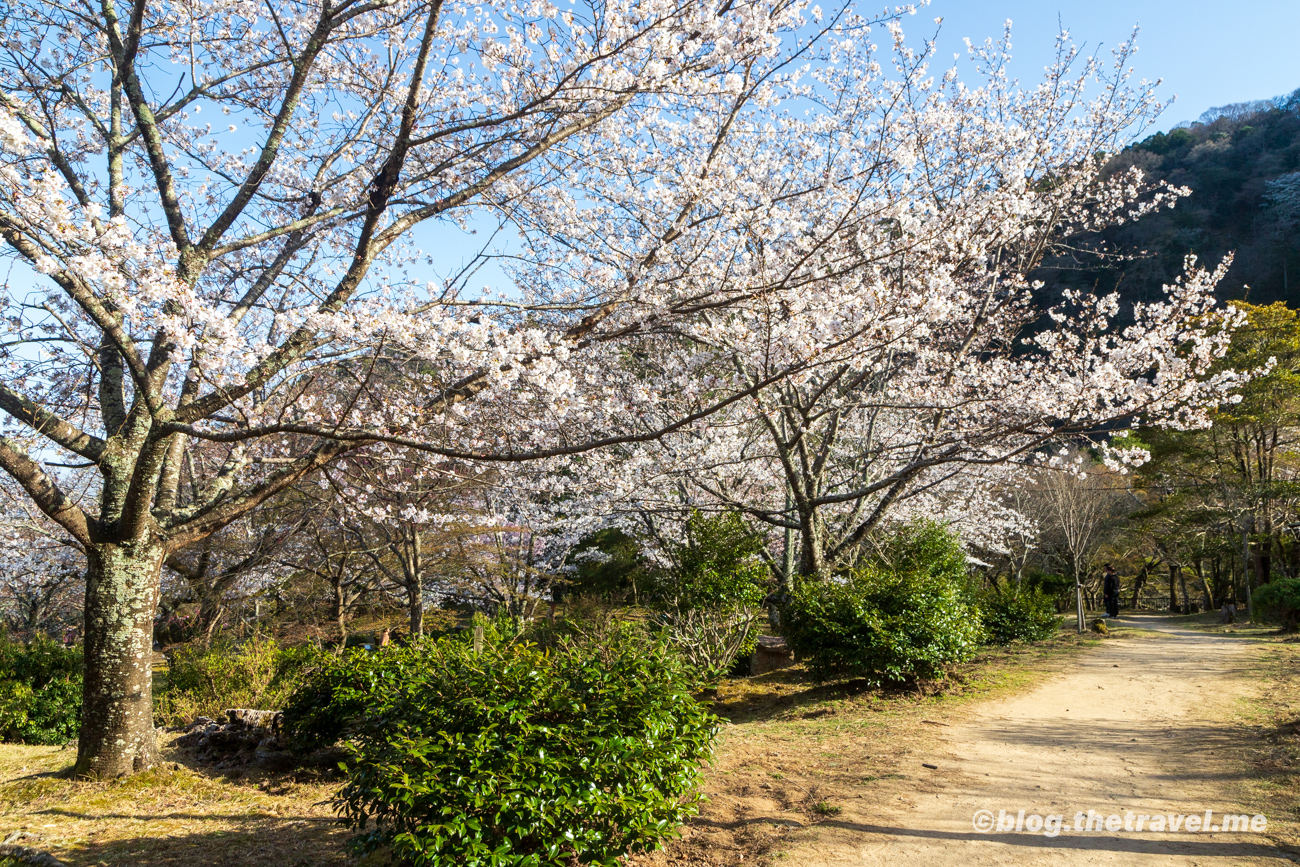 Day 4-10：龜山公園、中之島