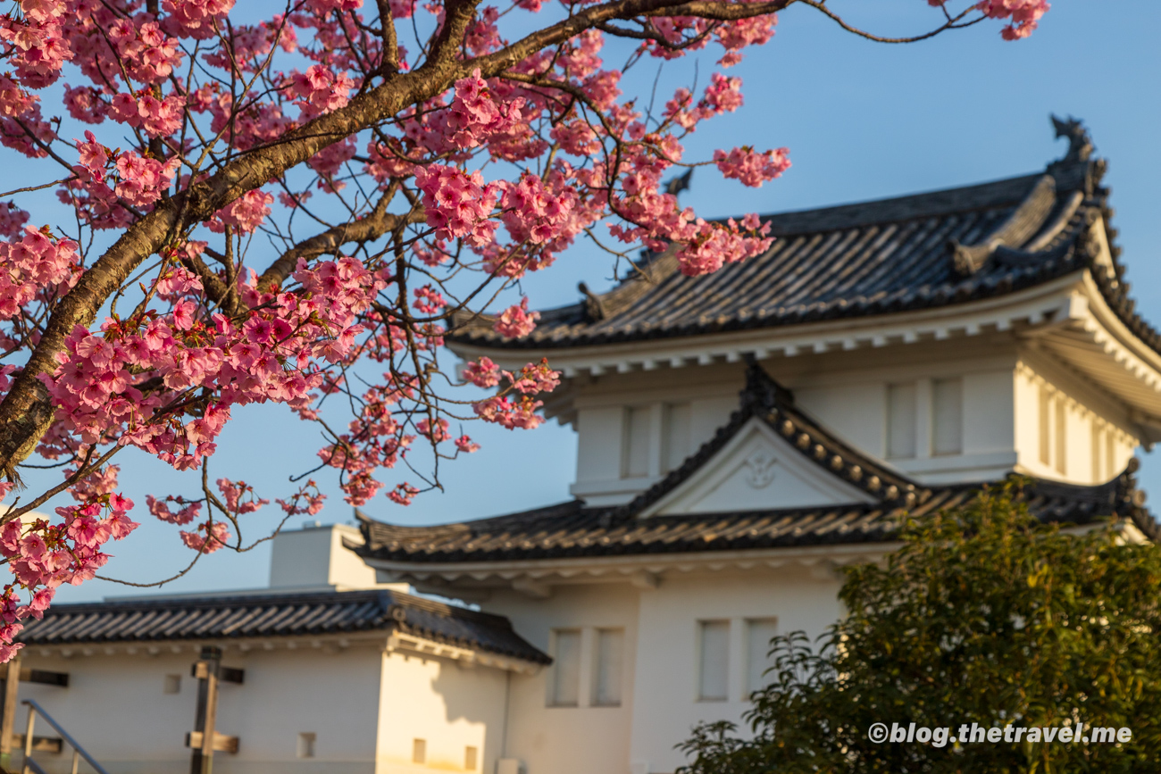 Day 5-1：西舞鶴、舞鶴公園、田邊城跡