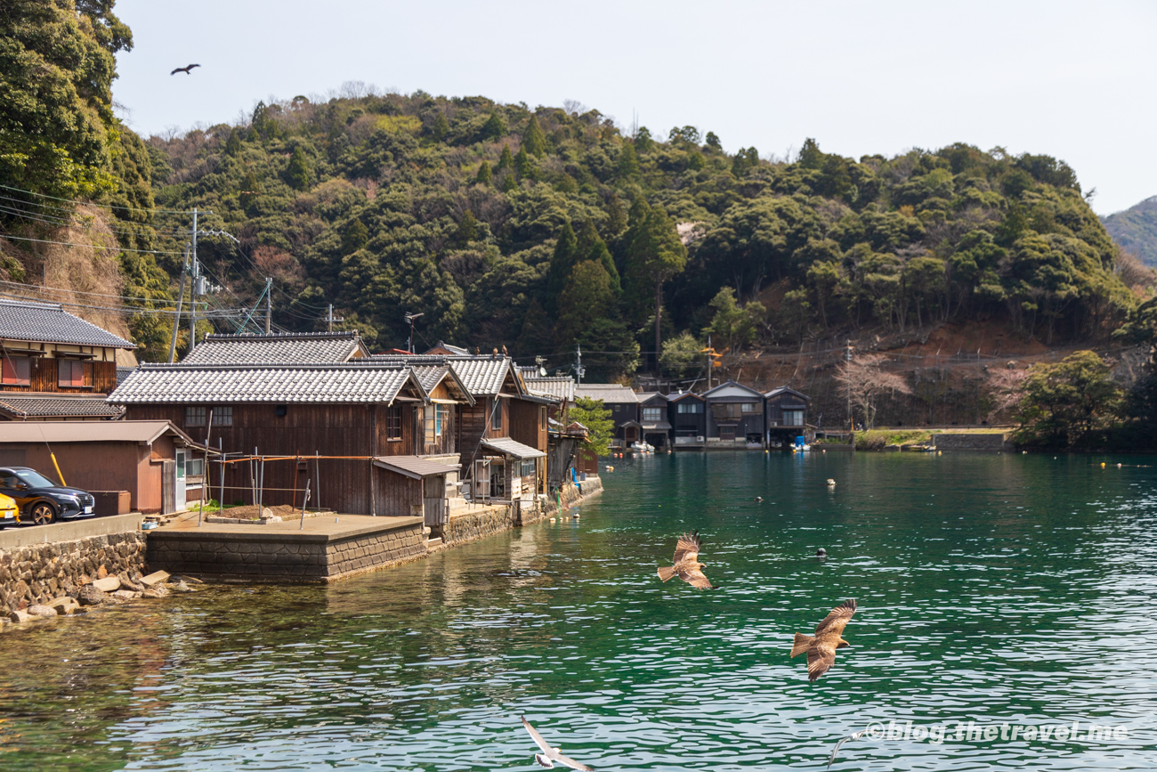 Day 5-4：天橋立、伊根、伊根灣遊覽船