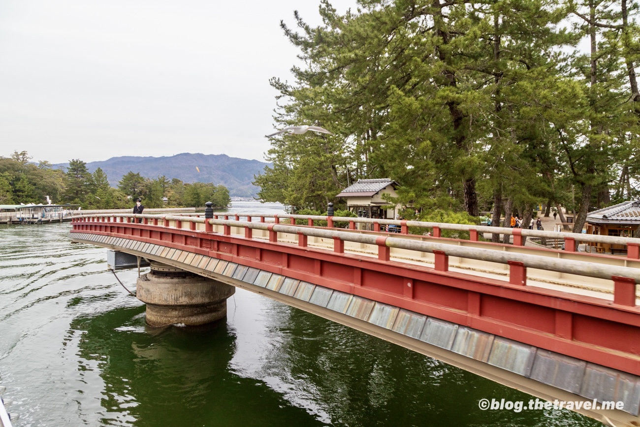 Day 5-10：傘松公園、天橋立觀光船