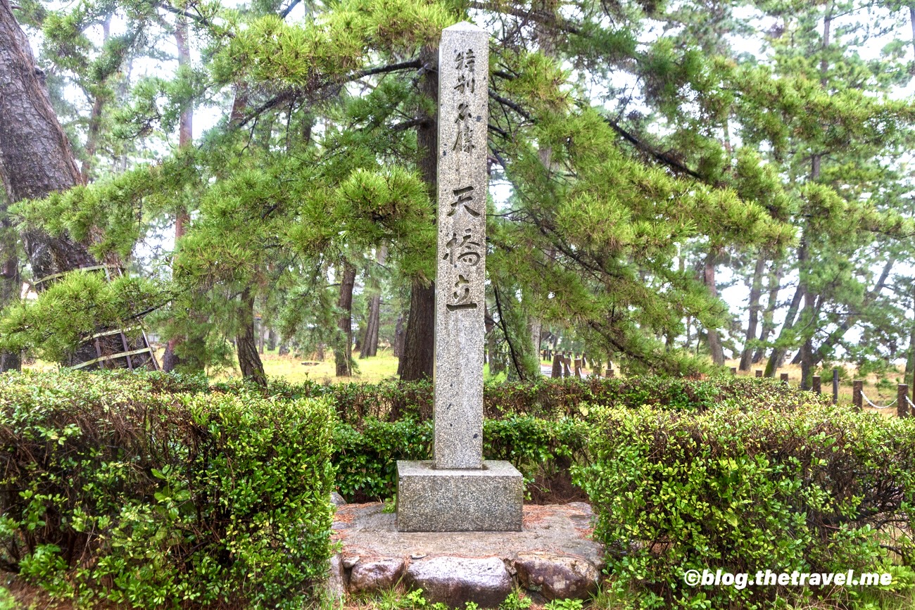 Day 6-5：天橋立、松