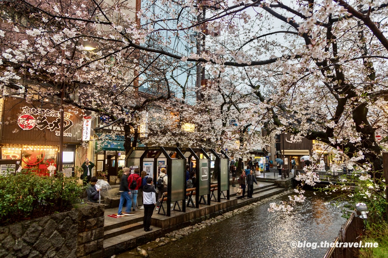 Day 6-9：京都、高瀨川、八阪神社