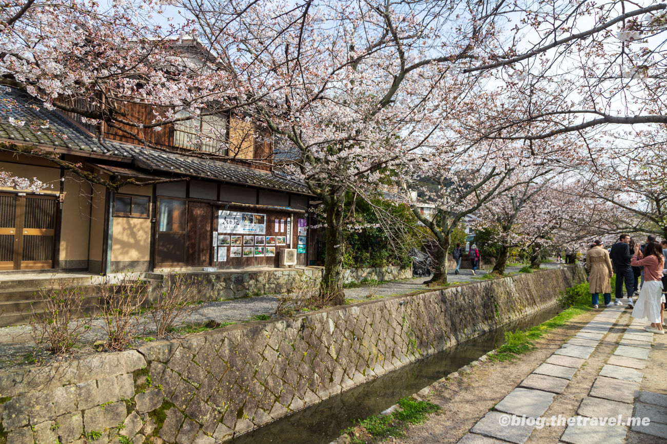 Day 7-6：哲學之道、Matsubaya