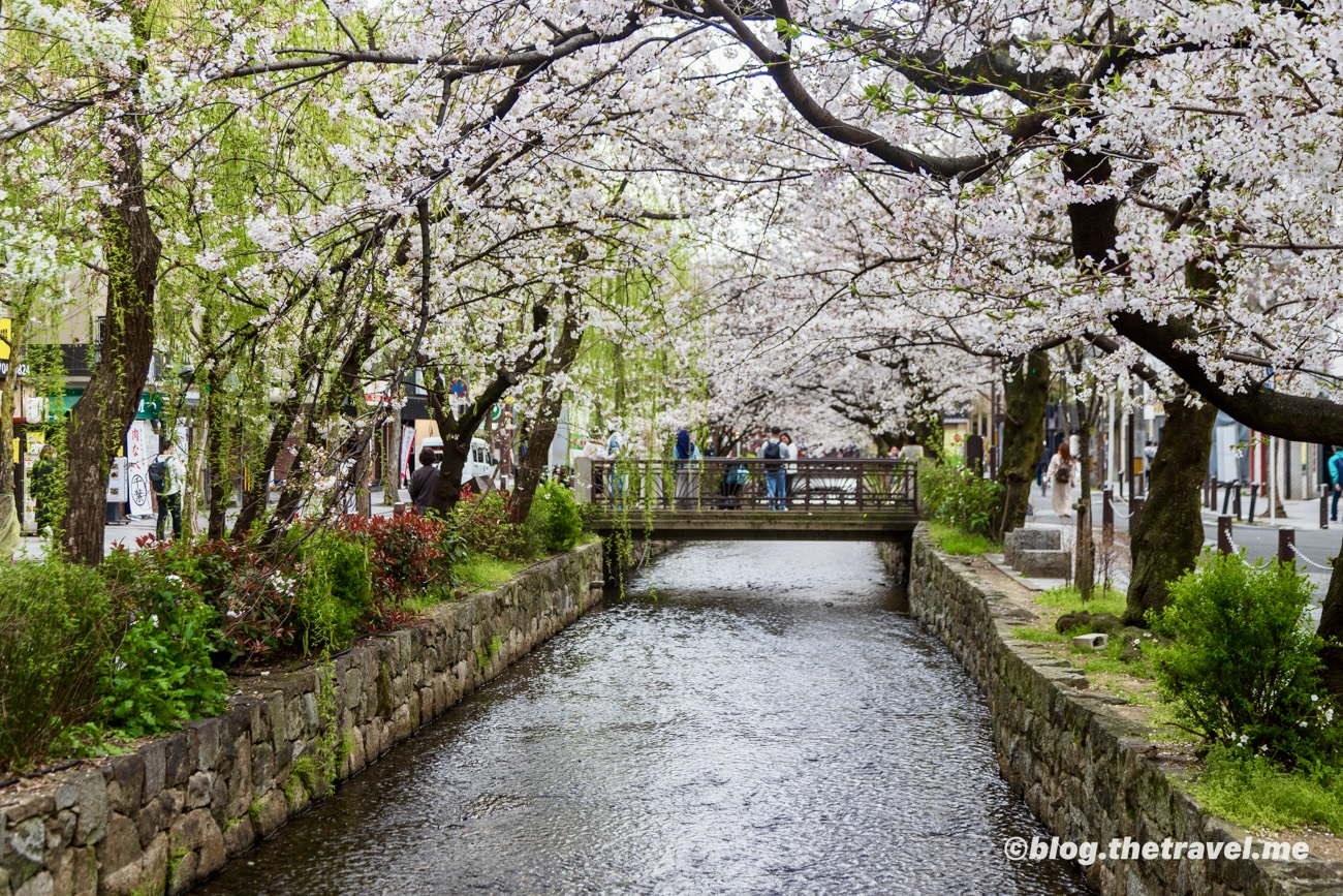 Day 7-7：高瀨川、四条河原町