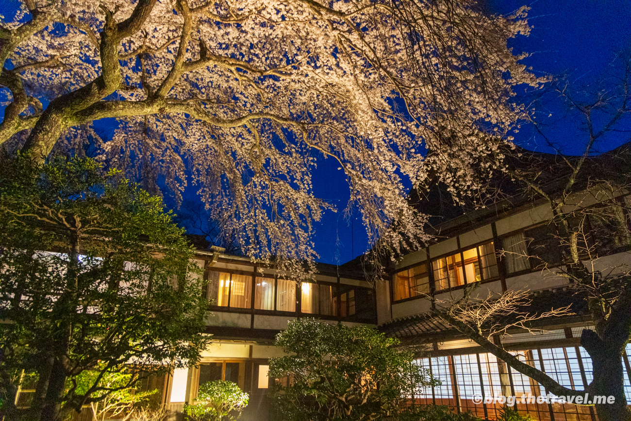 Day 8-9：吉野山、竹林院群芳園