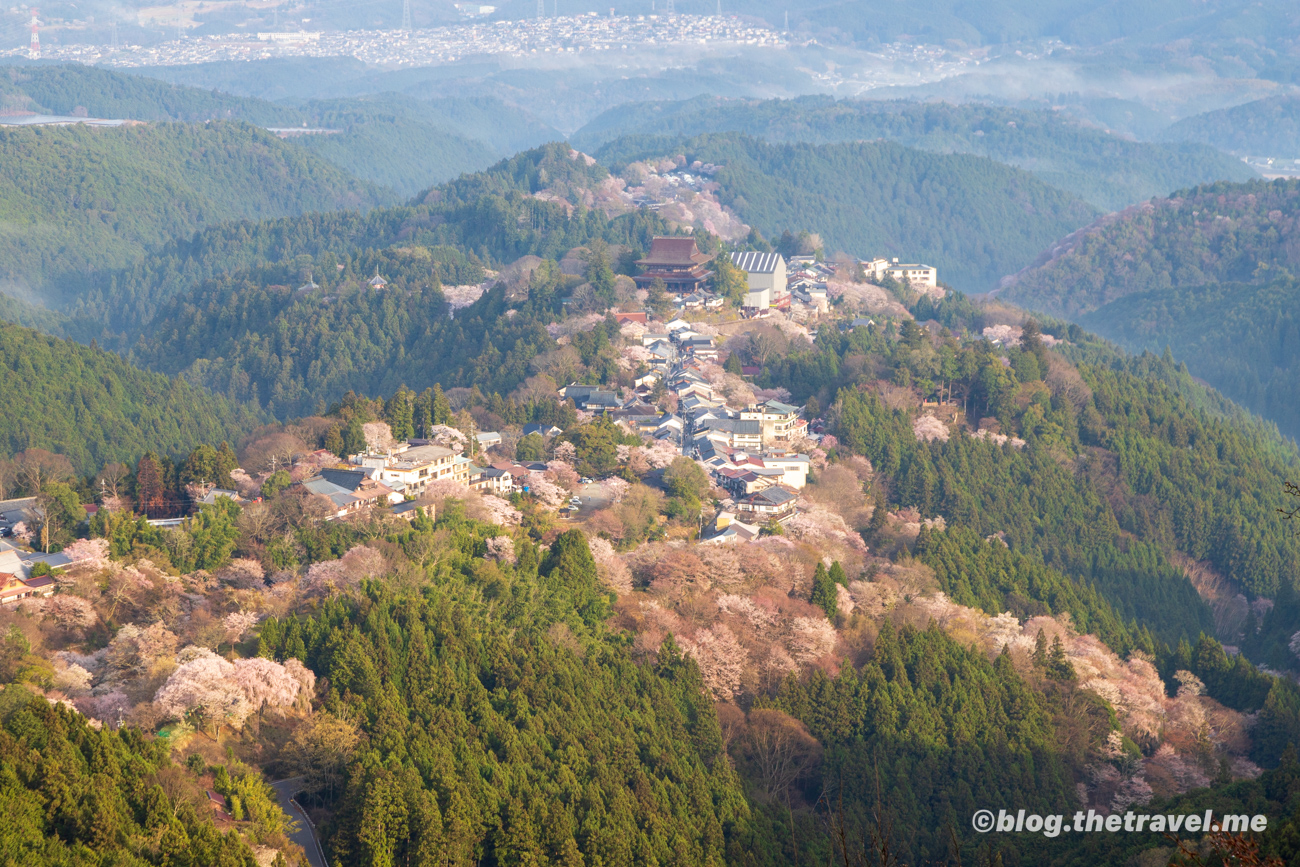 Day 9-1：吉野山、中千本、上千本、花矢倉展望台