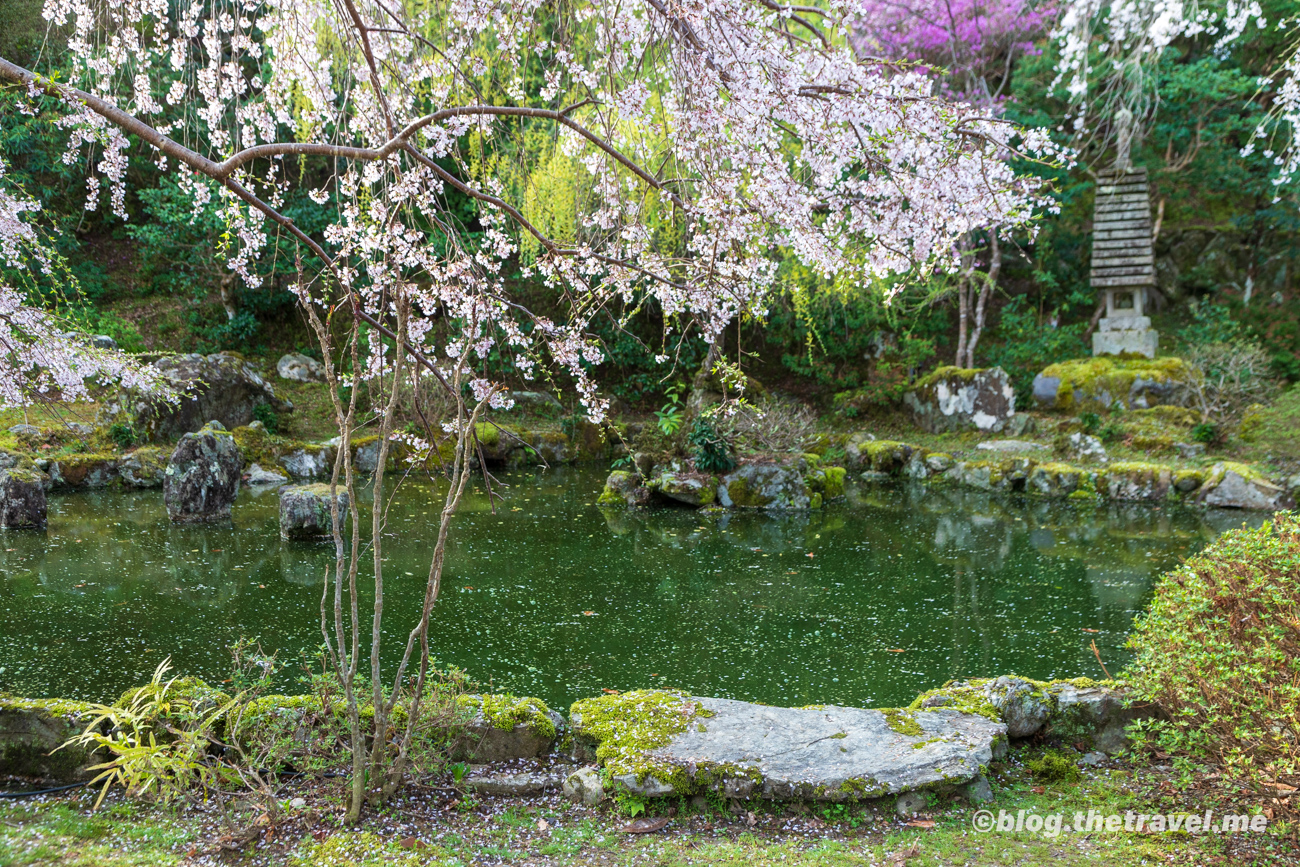 Day 9-2：吉野山、竹林院群芳園、中千本