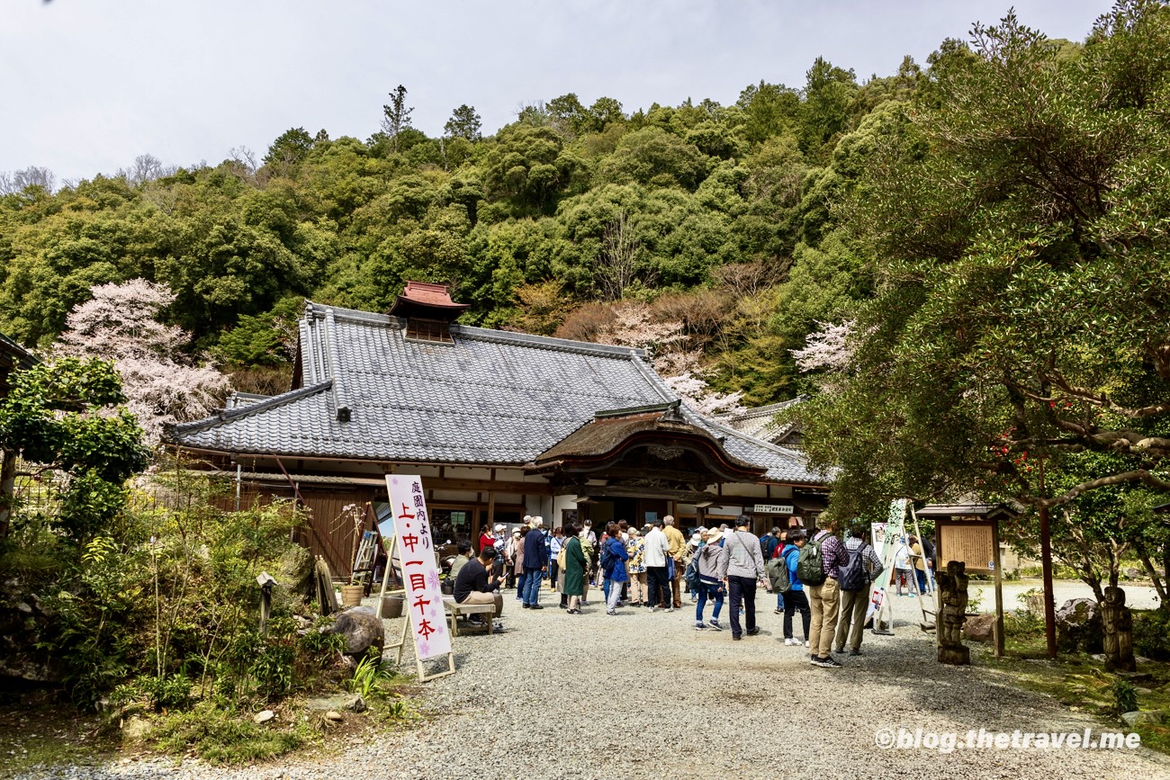 Day 9-6：吉野山、如意輪寺、南櫻園