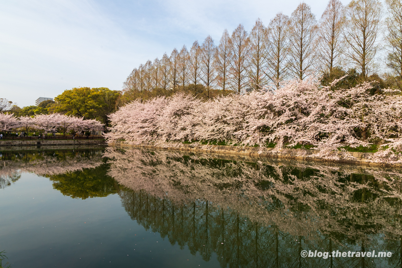 Day 10-3：大阪城、東外堀、Vien Inn