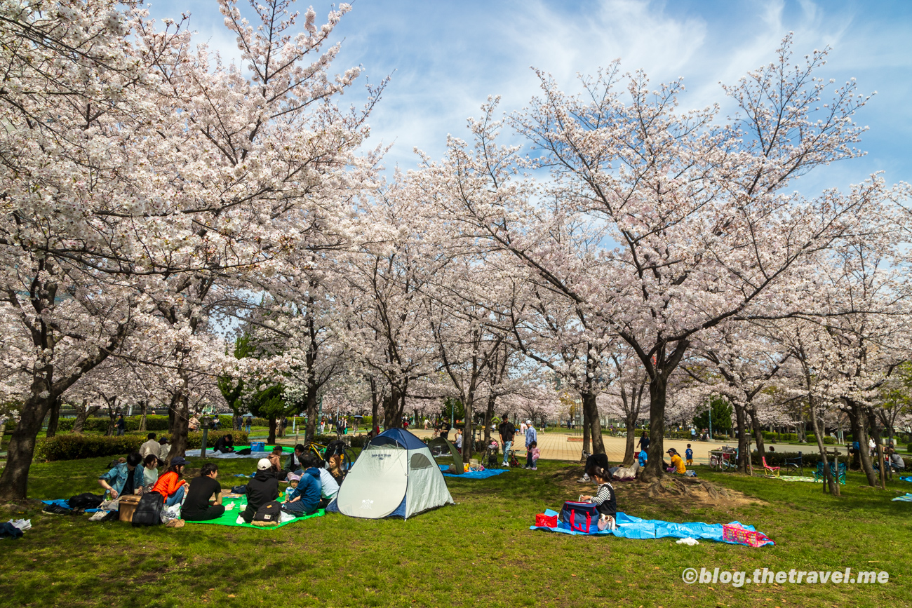 Day 10-4：櫻之宮公園