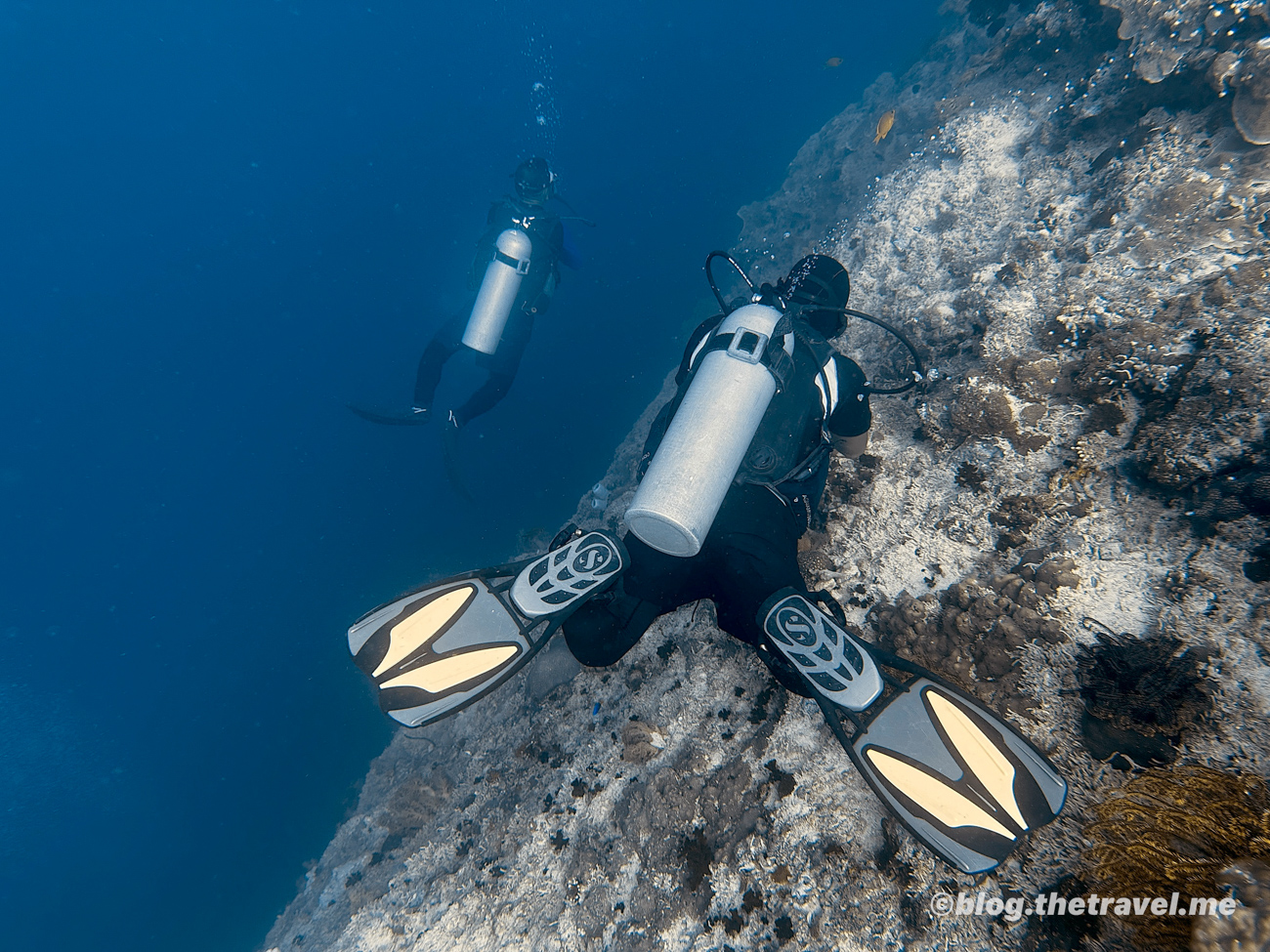 Day 6-1：Quo Vadis Dive Resort、佩斯卡多島（東）