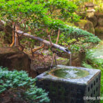 Day 2-10：水明館、高山