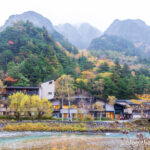 Day 5-1：上高地、梓川右岸步道、岳澤濕原