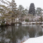 Day 2-2：最上公園、戶澤神社、心字池