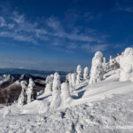 Day 3-8：藏王溫泉滑雪場、樹冰原滑道