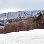 Day 4-8：藏王溫泉滑雪場、中央滑雪場、大平滑道、中森滑雪場
