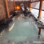 Day 5-1：ホテル喜らく、藏王溫泉滑雪場、中央滑雪場